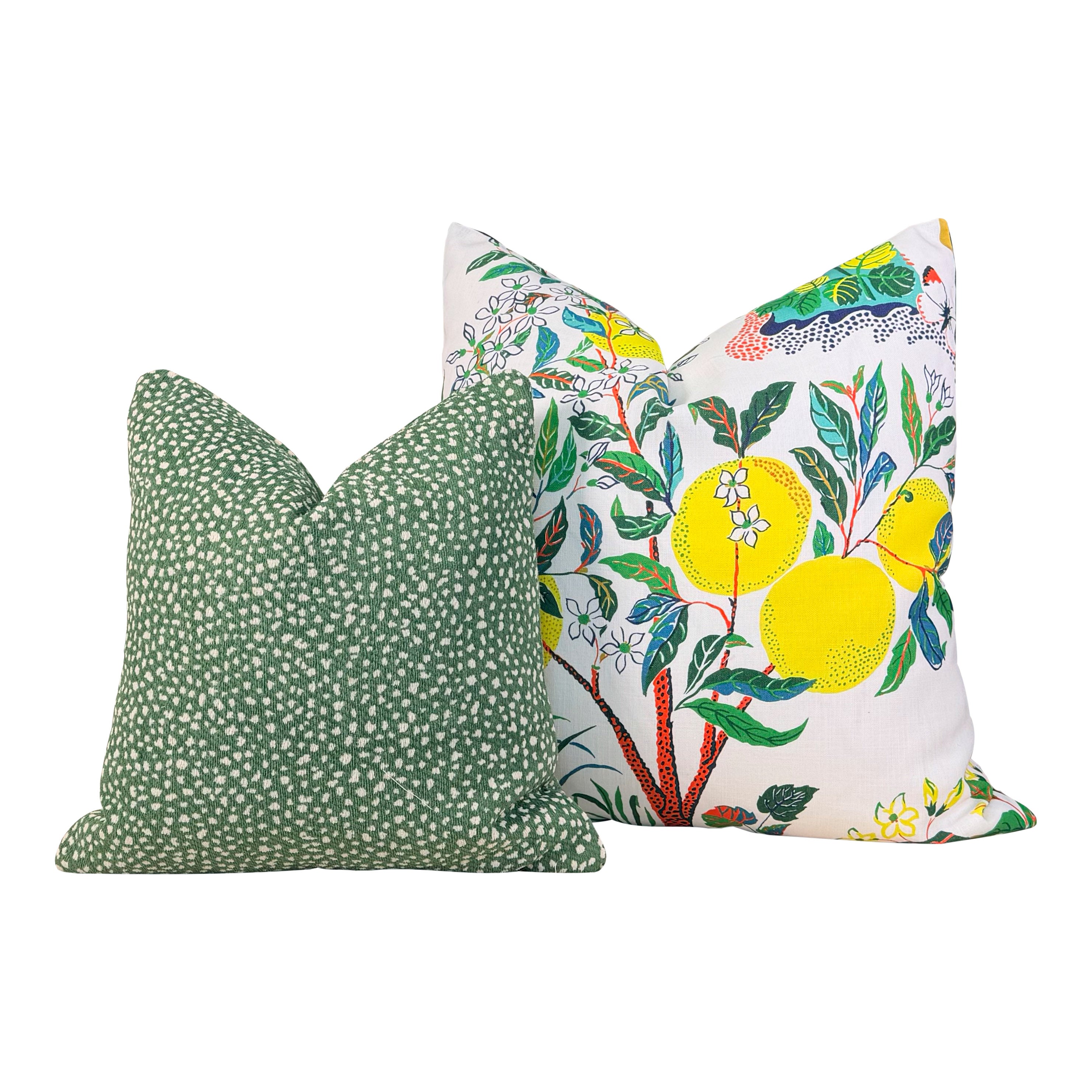 Schumacher Citrus Garden Outdoor Pillow - Primary