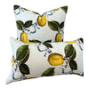 Schumacher La Citron Linen Pillow in Sky Blue. Designer Linen Pillows, Accent Lumbar Pillow Cover, Hinge End Decorative Pillows, Euro Sham